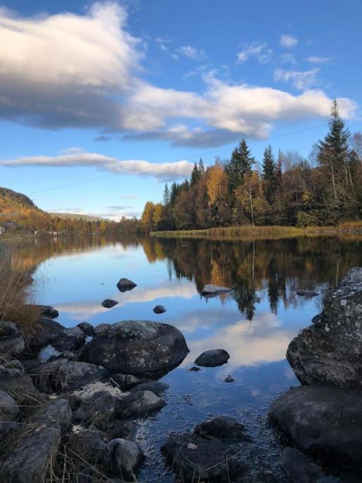 Delikat Hytte Omgitt Av Hallingdals Vakre Fjell آل المظهر الخارجي الصورة