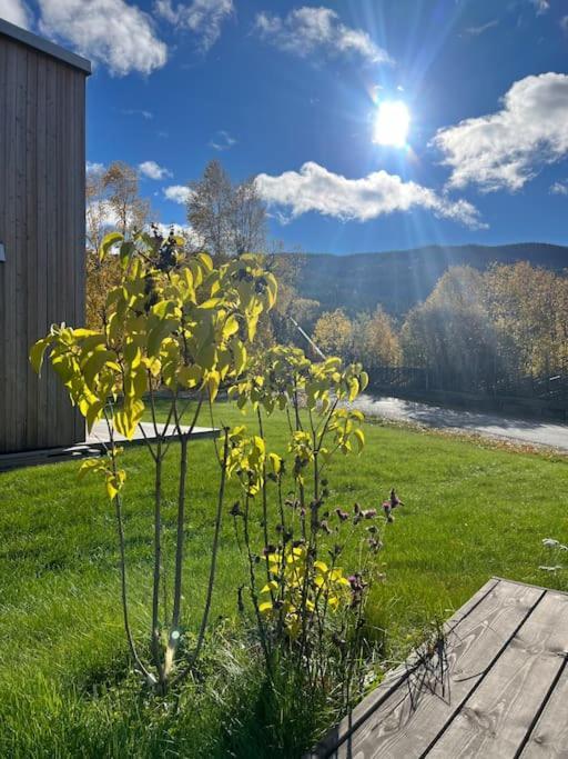 Delikat Hytte Omgitt Av Hallingdals Vakre Fjell آل المظهر الخارجي الصورة
